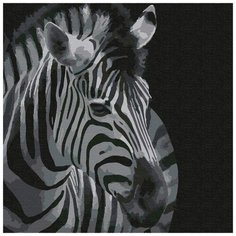 Картина по номерам "Зебра", 30x30 см Котеин