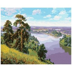 Картина по номерам "Прищепа. Обрыв", 40x50 см Molly
