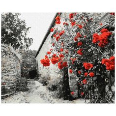 Картина по номерам "Красные розы на каменной стене", 40x50 см Molly