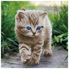 Кристальная мозаика Фрея "Котенок на прогулке", 32*32 см (ALV-12)