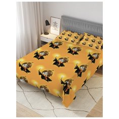 Покрывало стеганое жаккардовое с 2-мя наволочками "Гарри Поттер : озорной чародей", 1,5-спальное (160x220 см) Ambesonne