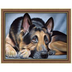 Алмазная мозаика Алмазная живопись "Овчарка", 40*30 см (АЖ-1418)