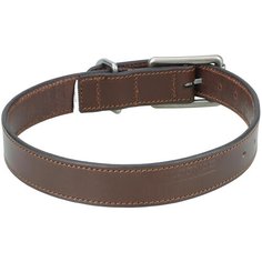 Ошейник для собаки 900 SOLOGNAC X Декатлон Decathlon
