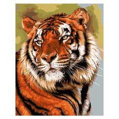 Картина по номерам Paintboy GX 33114 Тигр 40x50 см