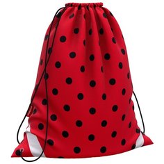 Мешок для обуви ErichKrause® 365x440мм Dots in Red