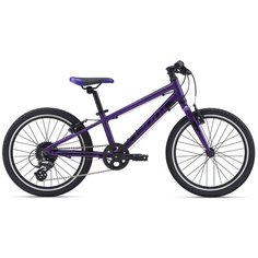 Подростковый горный (MTB) велосипед Giant ARX 20 (2021) purple (требует финальной сборки)