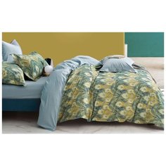 Asabella 1506-6