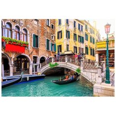 Картина по номерам Рыжий кот 30х40 см (18 цв.) ВЕНЕЦИАНСКИЙ ДЕНЬ Х-6467