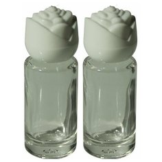 Атомайзер для духов Aroma Provokator стеклянный прозрачный крышка роза 5 ml набор 2 шт Aromaprovokator