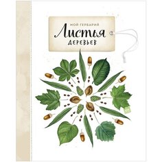 Васильева А. "Мой гербарий. Листья деревьев"