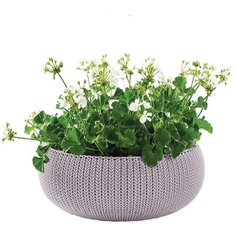 Горшок для цветов COZY L сиреневый Keter