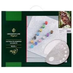 Greenwich Line картина по номерам Сова на ветке КХ_39224 40х50 см