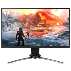 Монитор 27" Acer Predator XB253QGPbmiiprzx (UM.KX3EE.P08)