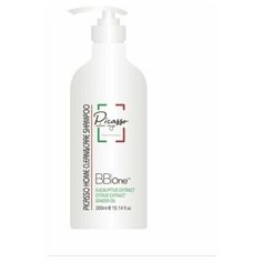 Шампунь Picasso Home Care Repair Shampoo BB One