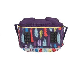 Ранец школьный с двумя отделениями Feathers на молнии. + подарок ПСВ Холдинг