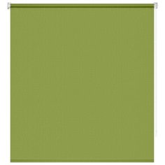 Рулонные шторы 100 см х 160 см Зеленый Апилера DECOFEST