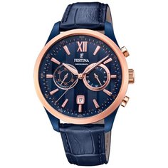 Наручные часы FESTINA F16998.1