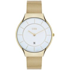 Наручные часы STORM Reese Gold