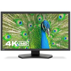 Монитор NEC MultiSync PA311D 31.5", черный