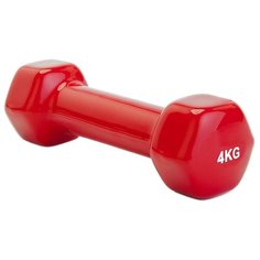 Гантель цельнолитая BRADEX SF 0165/SF 0166 4 кг красный