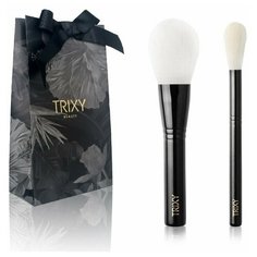 Подарочный набор кистей для макияжа 2 штуки Trixy Beauty "BLONDIES"