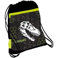 Мешок для обуви Belmil Dinosaurus