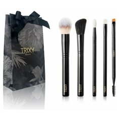 Подарочный набор кистей для макияжа 5 штук Trixy Beauty "EXPRESS"
