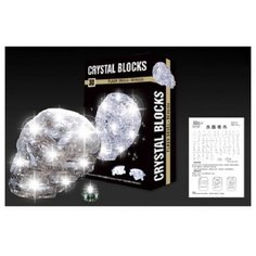Конструктор пластиковый 3D пазл "Череп", 50 деталей (свет) Рыжий кот
