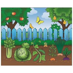 Водная книжка-раскраска "Изучаем формы и цвета" My Angel