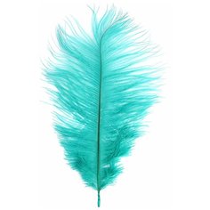 AR149-1 Перо страуса обработанные 20-25см, 10шт/упак (изумрудный) АЙРИС пресс