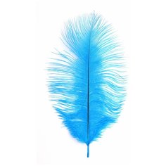 AR149-1 Перо страуса обработанные 20-25см, 10шт/упак (голубой) АЙРИС пресс