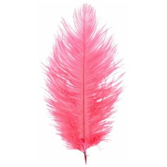 AR149-1 Перо страуса обработанные 20-25см, 10шт/упак (лососевый) АЙРИС пресс