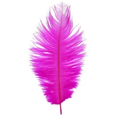 AR149-1 Перо страуса обработанные 20-25см, 10шт/упак (фуксия) АЙРИС пресс