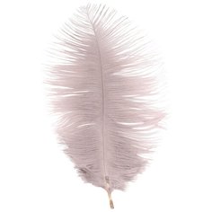 AR149-1 Перо страуса обработанные 20-25см, 10шт/упак (серый) АЙРИС пресс