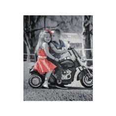 Color Kit картина по номерам "Первая любовь" 40х50 см (GX34130)