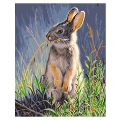 Paintboy картина по номерам "Любопытный заяц" 40х50 см (GX36013)