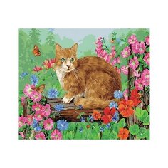 Картина по номерам на подрамнике Котик на прогулке 40х50 Paintboy