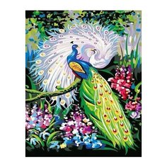 Картина по номерам на подрамнике Павлин 40х50 Paintboy