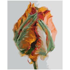 Картина по номерам на подрамнике Рождение 40х50 Color KIT