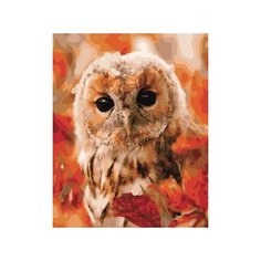 Картина по номерам Paintboy Глубина взгляда 40х50 GX34332