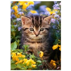 Картина по номерам Molly НОВЫЕ АРОМАТЫ (18 цветов) на подрамнике, KK0603