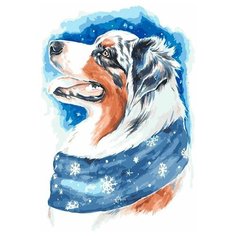 Картина по номерам Цветной Зимний пес (30 х 40) на подрамнике, me1113