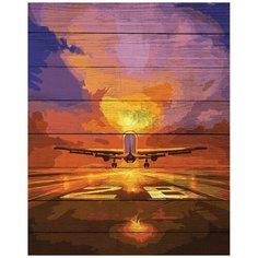 DALI Картина по номерам "Взлёт" 40х50 см (WK002)
