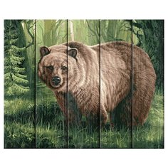DALI Картина по номерам "Царь леса" 40х50 см (WN004)