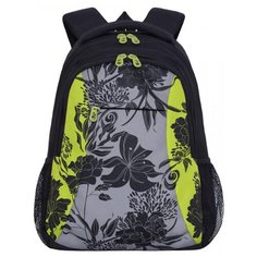 Рюкзак Grizzly RD-142-2/3