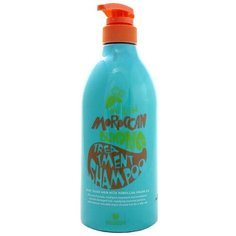 Mizon шампунь Moroccan Blending Treatment с марокканским аргановым маслом, 750 мл