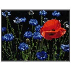 Алмазная вышивка (мозаика) "Васильки", 80x60 см Art Xobby