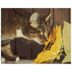 Алмазная вышивка (мозаика) "Кошка нюхает подсолнух", 40х50 см Art Xobby