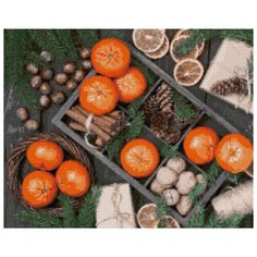 Алмазная вышивка (мозаика) "Новогодние мандарины", 40х50 см Art Xobby