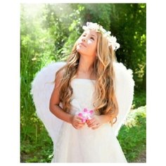 Алмазная мозаика, блестящая "Маленький ангел с розовым цветком", 22х32 см (с полным заполнением)(26цв.) Рыжий кот